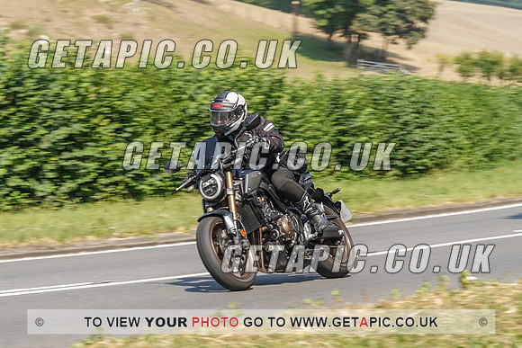 RS2008_10490