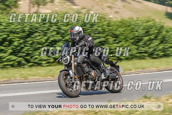 RS2008_10491