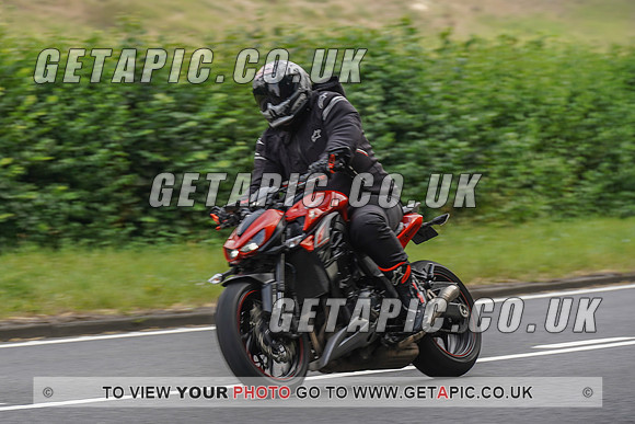 RS2008_10045
