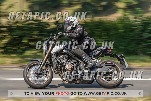 RS2008_10492