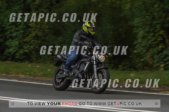 RS2008_10047