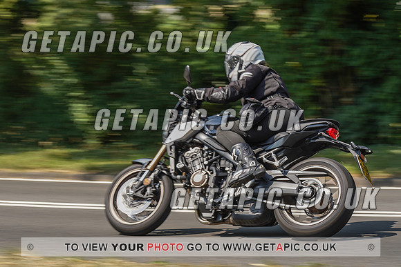 RS2008_10493