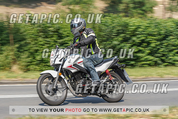 RS2008_10495