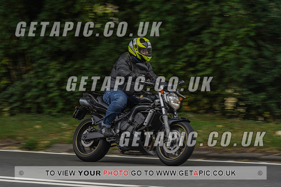 RS2008_10048