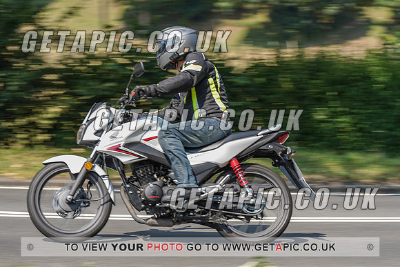 RS2008_10496