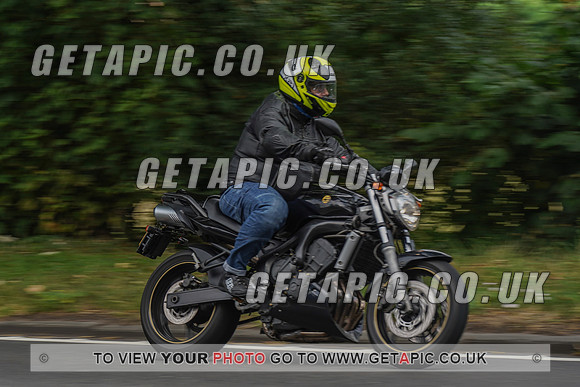 RS2008_10049