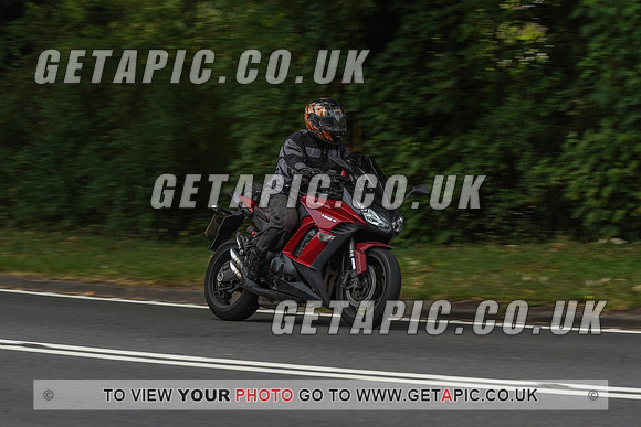 RS2008_10056