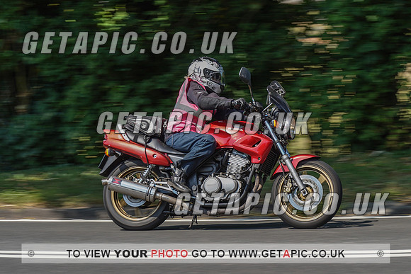 RS2008_10505