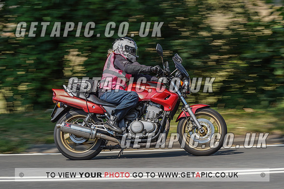 RS2008_10506