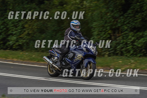 RS2008_10061