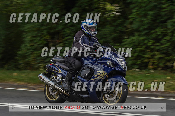 RS2008_10062