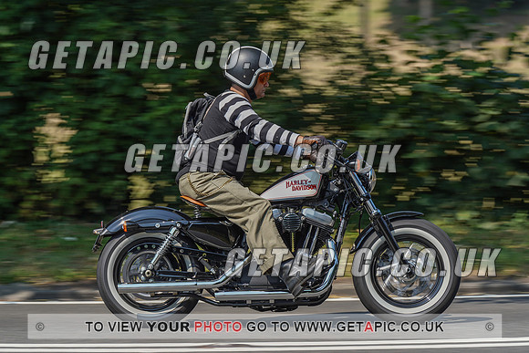 RS2008_10511