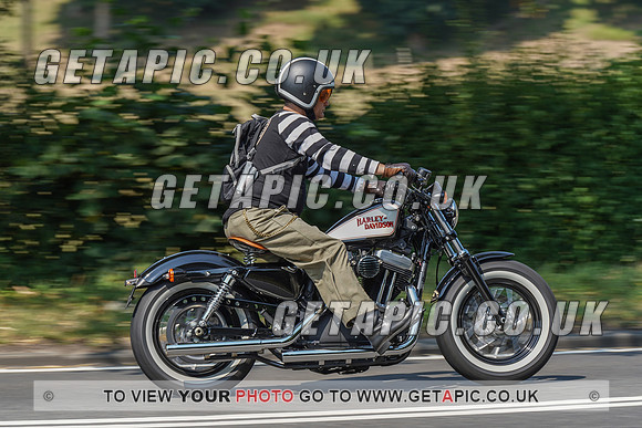 RS2008_10512