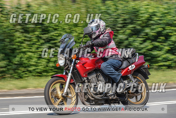 RS2008_10515