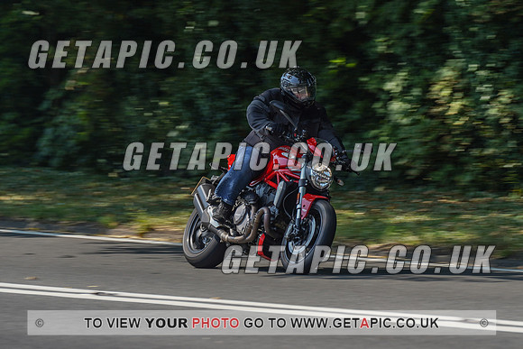 RS2008_10516