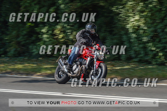 RS2008_10517