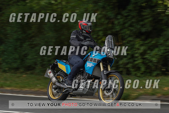 RS2008_10072