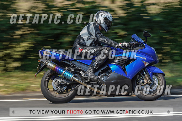 RS2008_10521