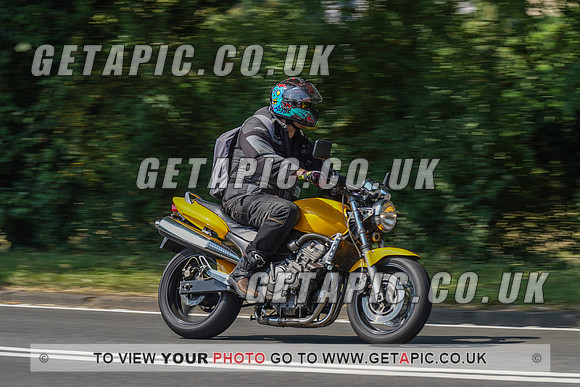 RS2008_10530