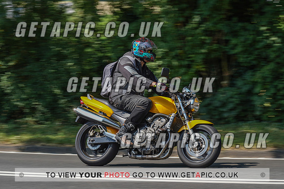 RS2008_10531