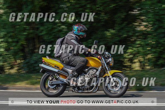 RS2008_10532