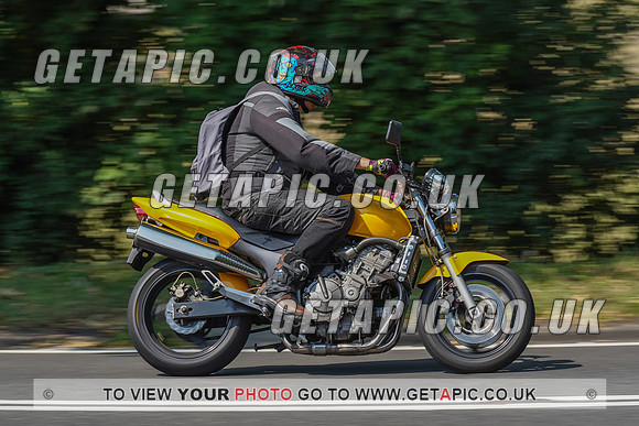 RS2008_10533