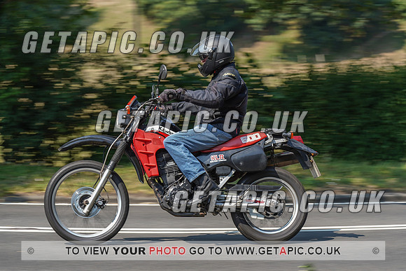 RS2008_10551