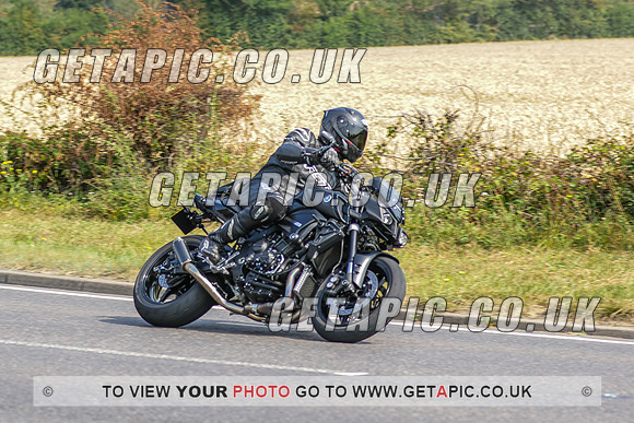 CF2008_10571