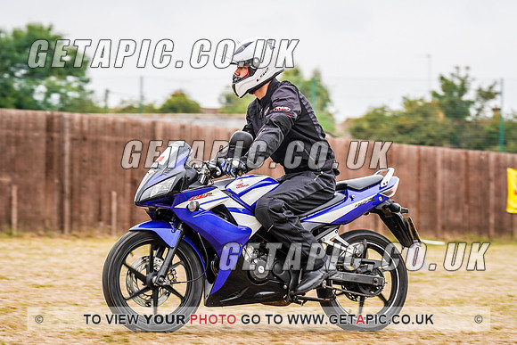 RS2008_10679
