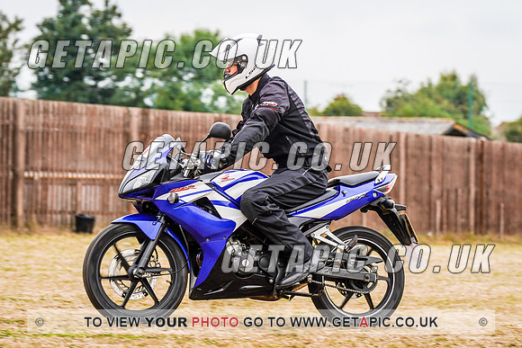 RS2008_10680