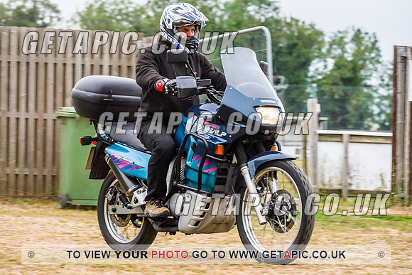 RS2008_10698