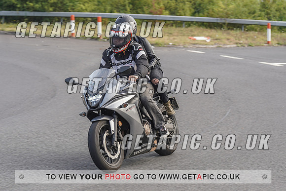 RS2008_10942