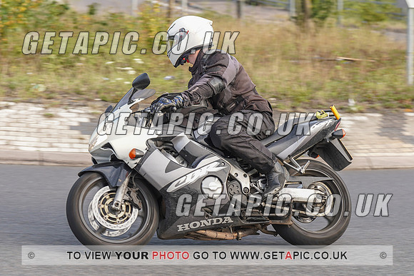 RS2008_10952