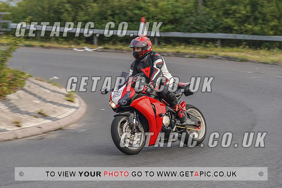 RS2008_10967