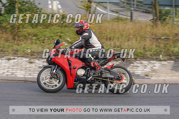 RS2008_10968