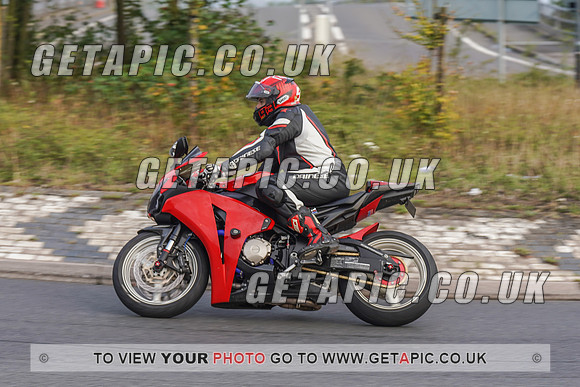 RS2008_10969