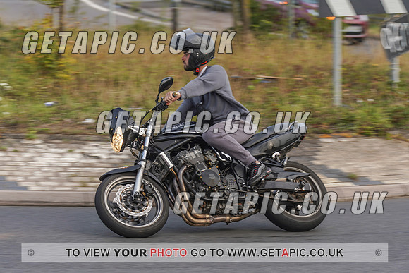 RS2008_10972