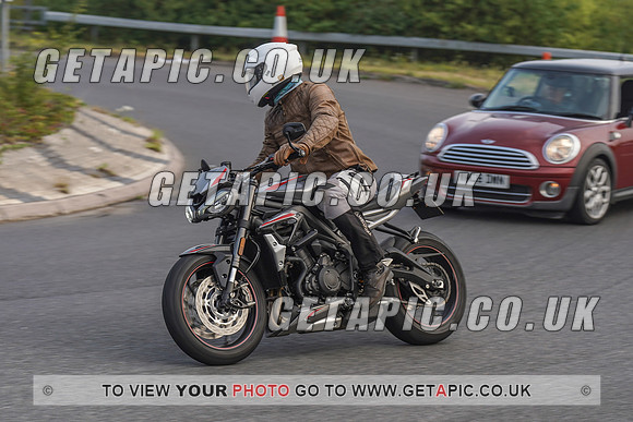 RS2008_10975