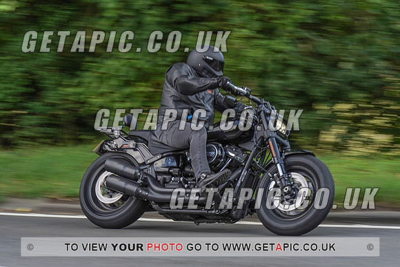 RS2008_11075
