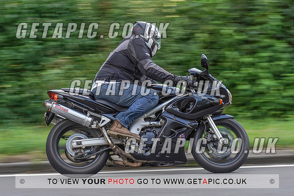 RS2008_11077
