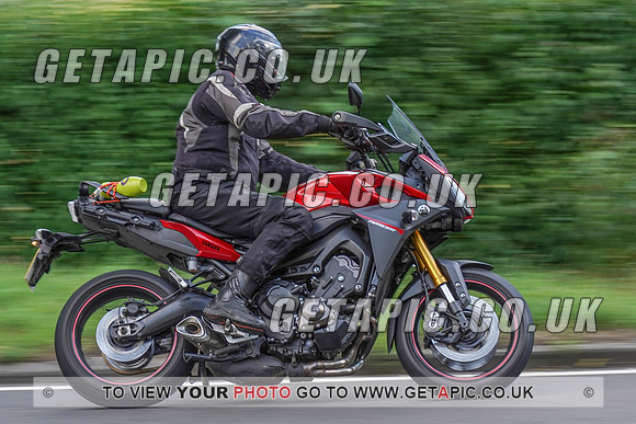 RS2008_11079