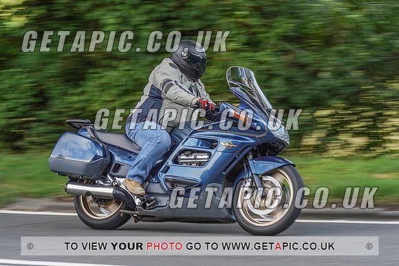 RS2008_11081
