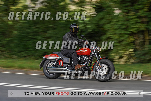 RS2008_11087