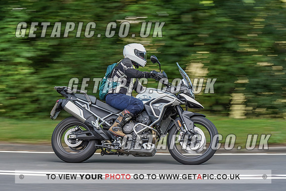 RS2008_11142