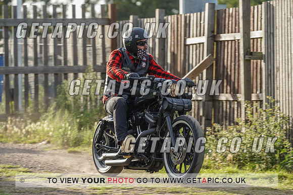 RS2008_11925