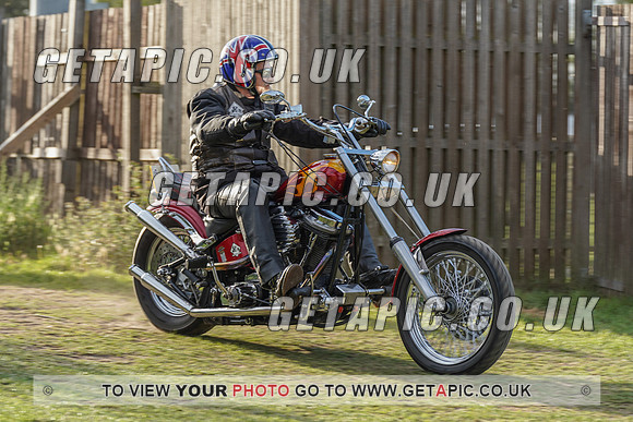 RS2008_11941