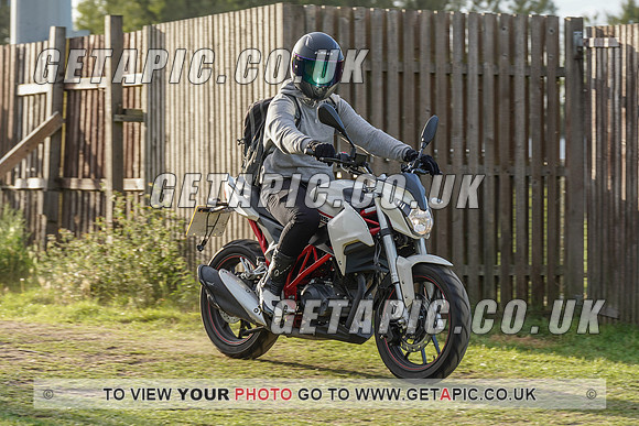 RS2008_11945