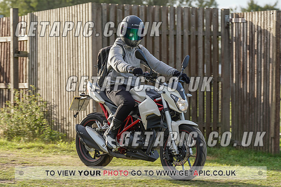 RS2008_11946