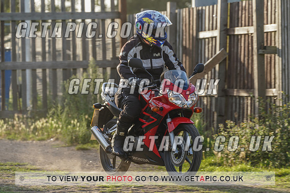 RS2008_11954