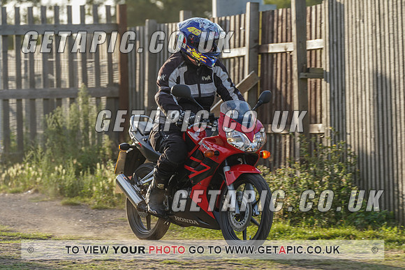RS2008_11955